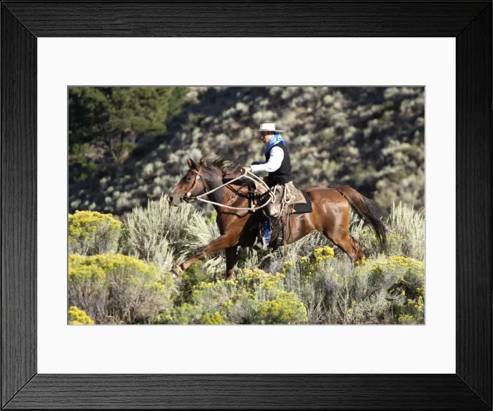 Framed Print : Picture No. 10778437