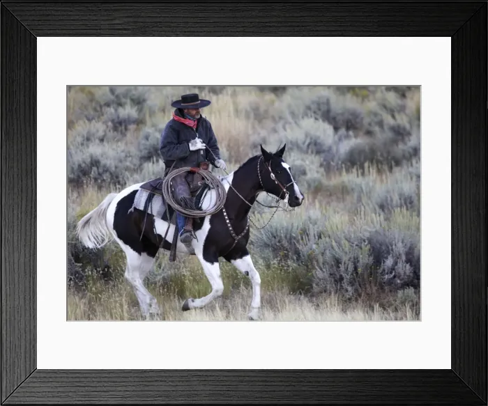 Framed Print : Picture No. 10778440 Framed Print : Picture No. 10778440