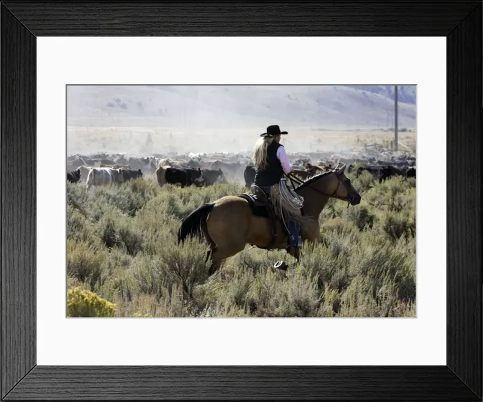Framed Print : Picture No. 10778434 Framed Print : Picture No. 10778434