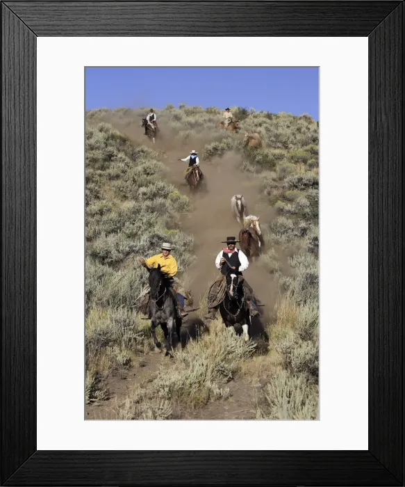 Framed Print : Picture No. 10778413 Framed Print : Picture No. 10778413