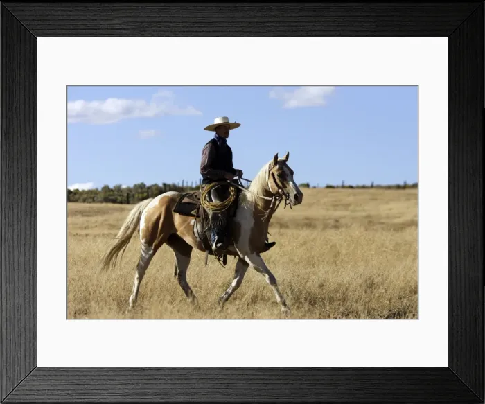 Framed Print : Picture No. 10778438 Framed Print : Picture No. 10778438