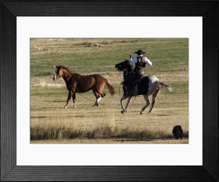 Framed Print : Picture No. 10778441 Framed Print : Picture No. 10778441