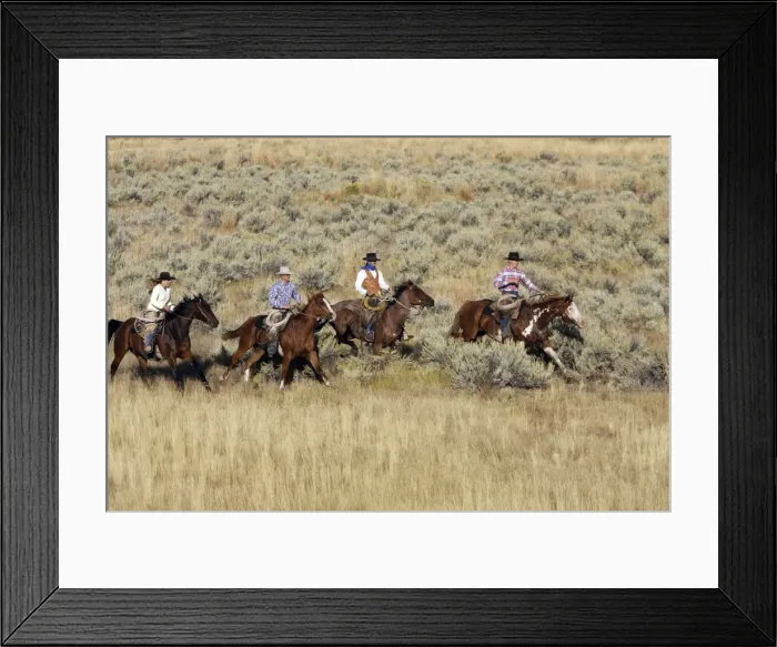 Framed Print : Picture No. 10778443 Framed Print : Picture No. 10778443