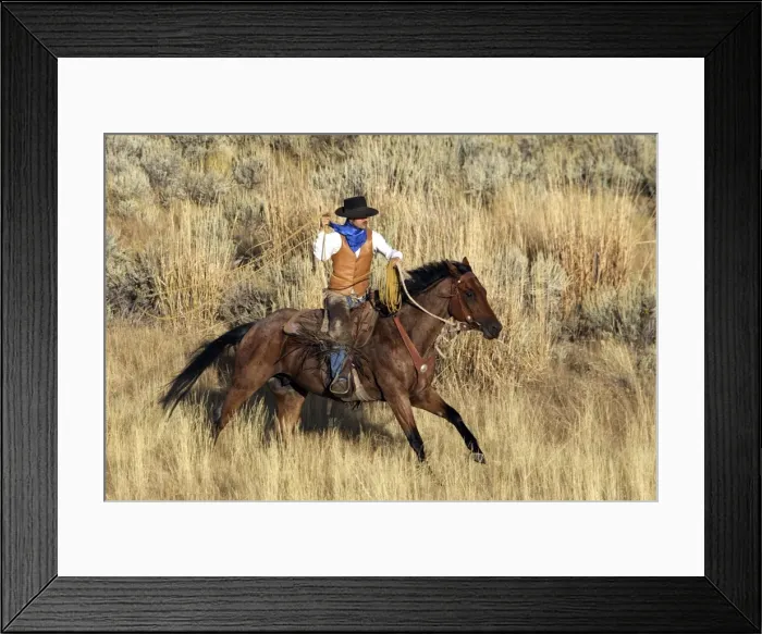 Framed Print : Picture No. 10778444 Framed Print : Picture No. 10778444