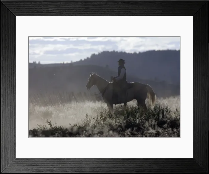 Framed Print : Picture No. 10778452