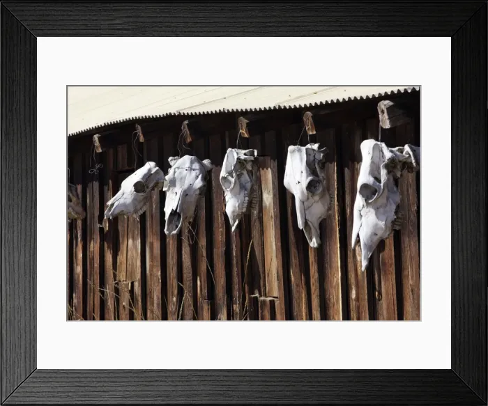 Framed Print : Picture No. 10778447 Framed Print : Picture No. 10778447