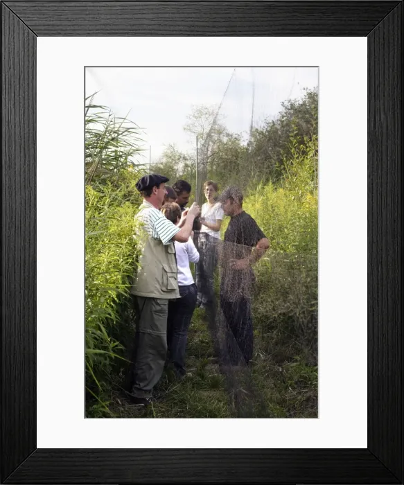 Framed Print : Picture No. 10778460 Framed Print : Picture No. 10778460