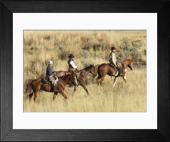 Framed Print : Picture No. 10778445