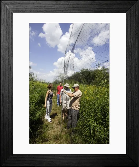 Framed Print : Picture No. 10778464 Framed Print : Picture No. 10778464