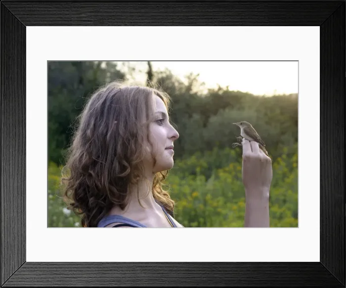 Framed Print : Picture No. 10778463 Framed Print : Picture No. 10778463