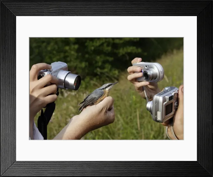 Framed Print : Picture No. 10778494 Framed Print : Picture No. 10778494
