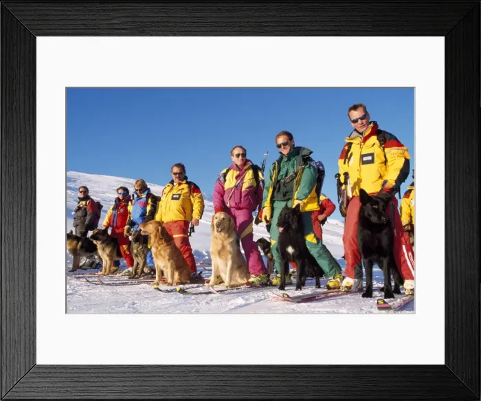 Framed Print : Picture No. 10778541 Framed Print : Picture No. 10778541