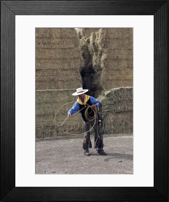 Framed Print : Picture No. 10778455 Framed Print : Picture No. 10778455
