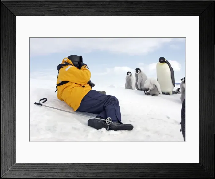 Framed Print : Picture No. 10778691 Framed Print : Picture No. 10778691