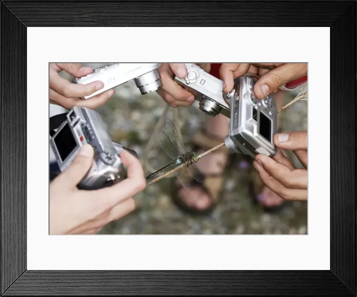 Framed Print : Picture No. 10778518 Framed Print : Picture No. 10778518