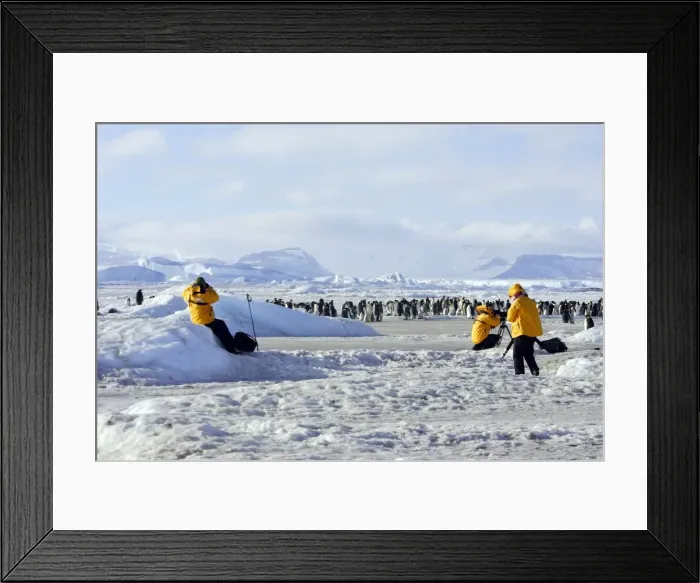 Framed Print : Picture No. 10778755 Framed Print : Picture No. 10778755