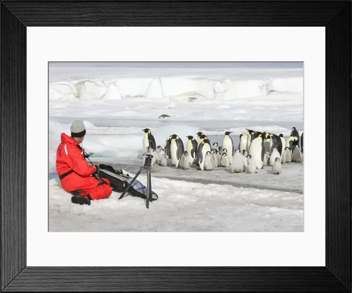 Framed Print : Picture No. 10778725 Framed Print : Picture No. 10778725