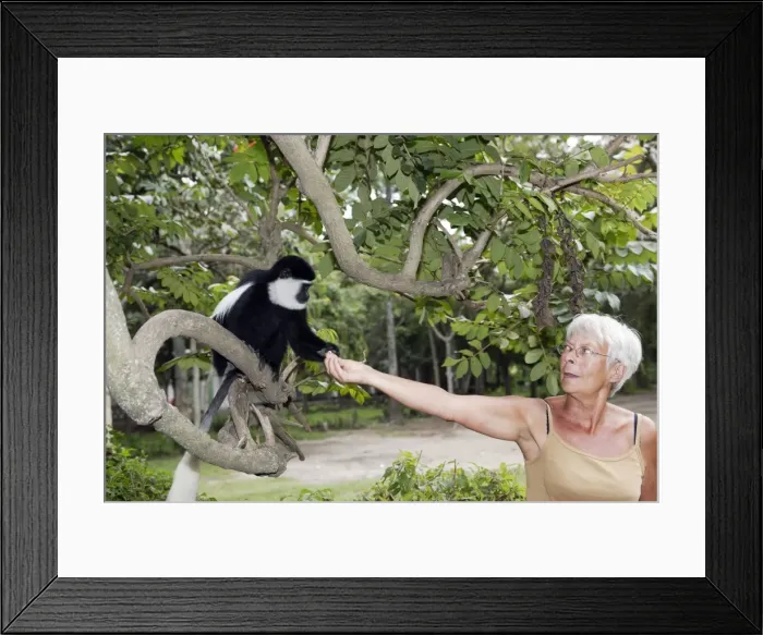 Framed Print : Picture No. 10778935 Framed Print : Picture No. 10778935