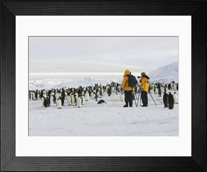 Framed Print : Picture No. 10778787 Framed Print : Picture No. 10778787