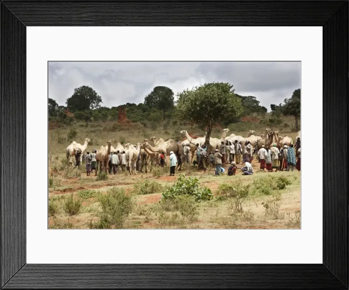 Framed Print : Picture No. 10778950 Framed Print : Picture No. 10778950