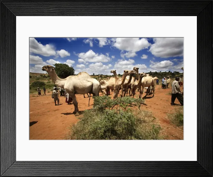 Framed Print : Picture No. 10778951 Framed Print : Picture No. 10778951