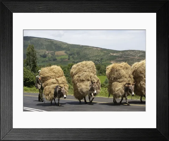 Framed Print : Picture No. 10778931 Framed Print : Picture No. 10778931