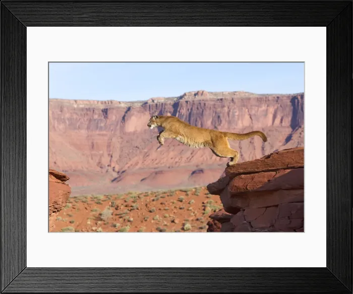 Framed Print : Picture No. 10899018 Framed Print : Picture No. 10899018