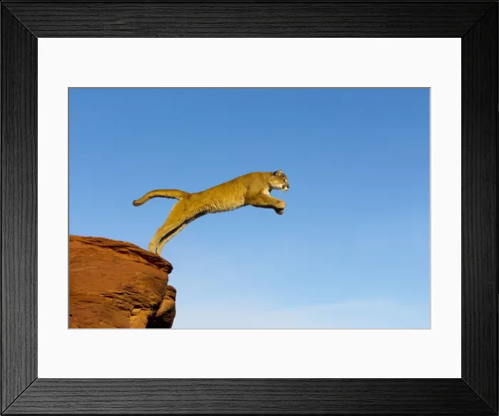 Framed Print : Picture No. 10899021 Framed Print : Picture No. 10899021