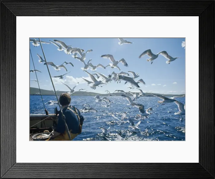 Framed Print : Picture No. 10847695 Framed Print : Picture No. 10847695