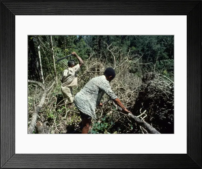 Framed Print : Picture No. 10847708 Framed Print : Picture No. 10847708