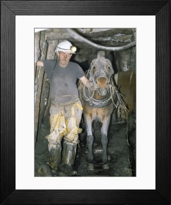 Framed Print : Picture No. 10847752 Framed Print : Picture No. 10847752
