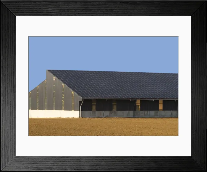 Framed Print : Picture No. 10899081 Framed Print : Picture No. 10899081