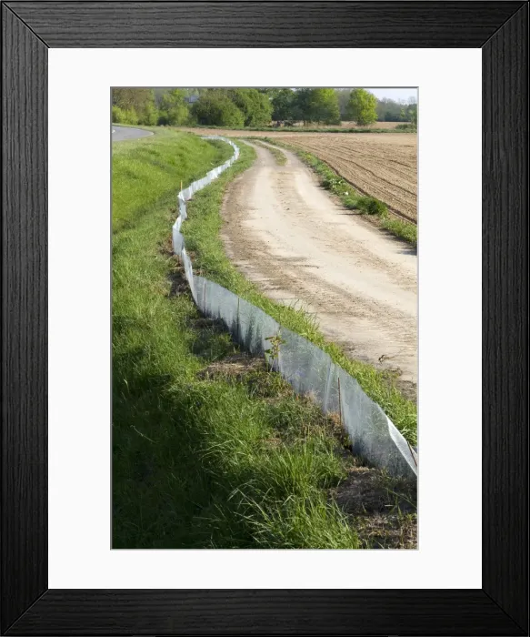 Framed Print : Picture No. 10899082 Framed Print : Picture No. 10899082