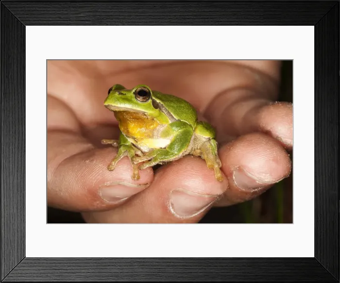 Framed Print : Picture No. 10899103 Framed Print : Picture No. 10899103