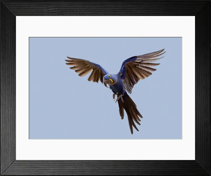 Framed Print : Picture No. 10899109