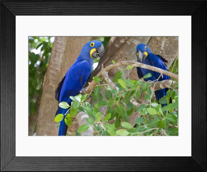 Framed Print : Picture No. 10899111
