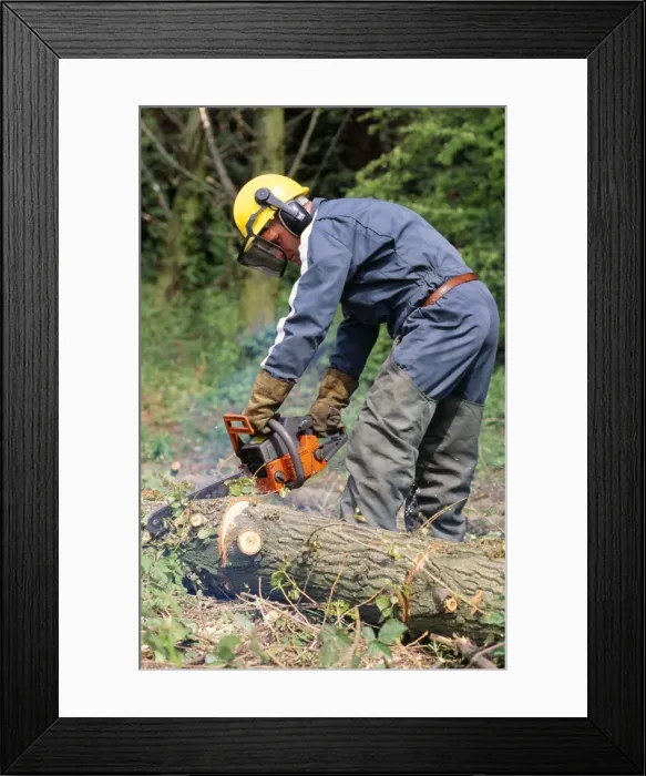 Framed Print : Picture No. 10851597 Framed Print : Picture No. 10851597