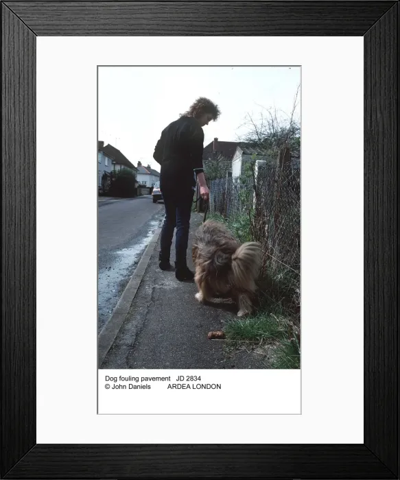Framed Print : Picture No. 10851679 Framed Print : Picture No. 10851679