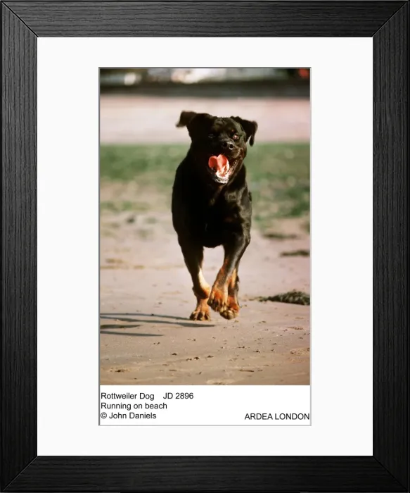 Framed Print : Picture No. 10851680 Framed Print : Picture No. 10851680