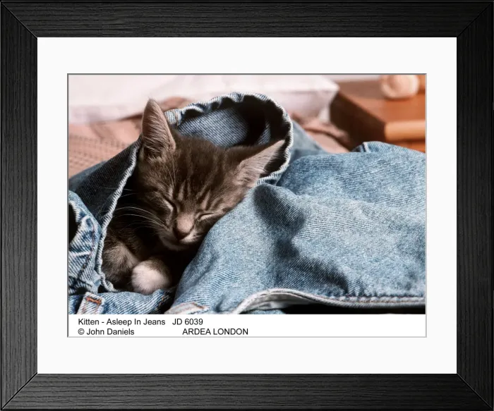 Framed Print : Picture No. 10851704 Framed Print : Picture No. 10851704