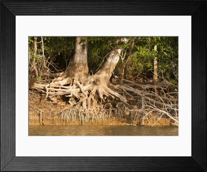 Framed Print : Picture No. 10899162 Framed Print : Picture No. 10899162