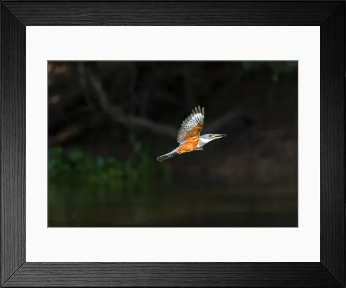 Framed Print : Picture No. 10899191 Framed Print : Picture No. 10899191