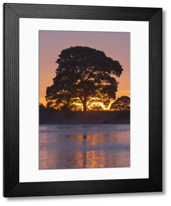 Framed Print : Picture No. 10899193