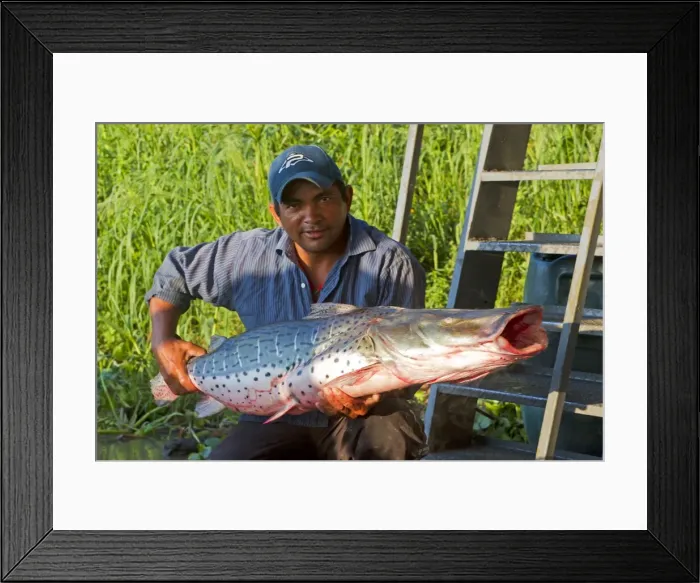 Framed Print : Picture No. 10899194 Framed Print : Picture No. 10899194
