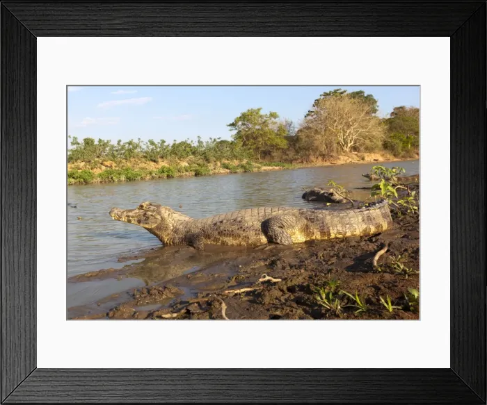 Framed Print : Picture No. 10899212 Framed Print : Picture No. 10899212