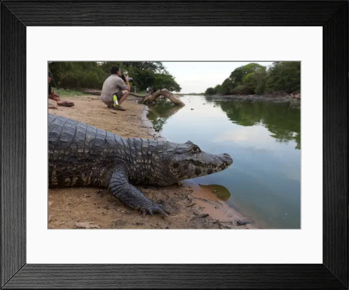 Framed Print : Picture No. 10899213 Framed Print : Picture No. 10899213