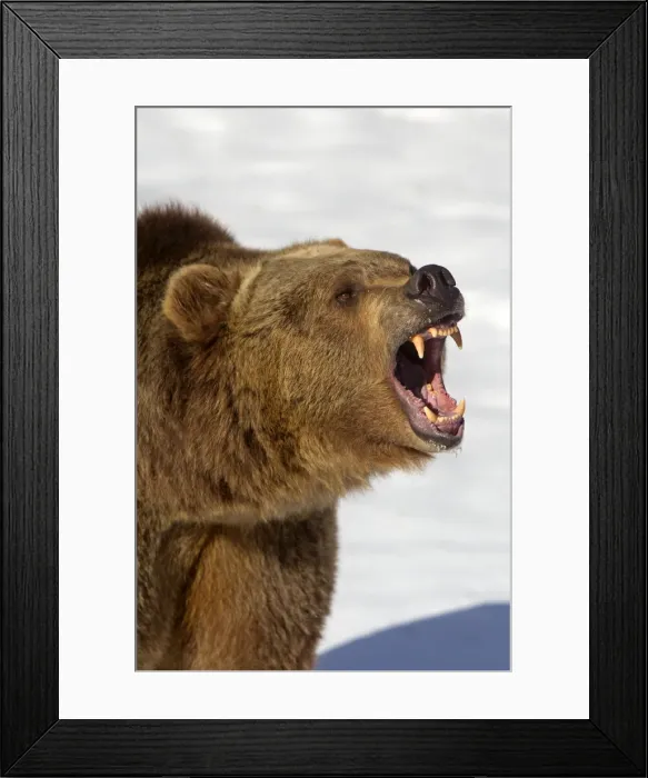 Framed Print : Picture No. 10899244 Framed Print : Picture No. 10899244
