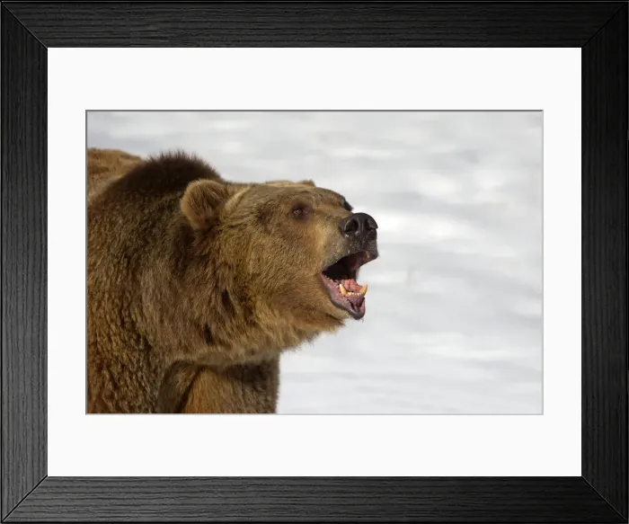 Framed Print : Picture No. 10899245