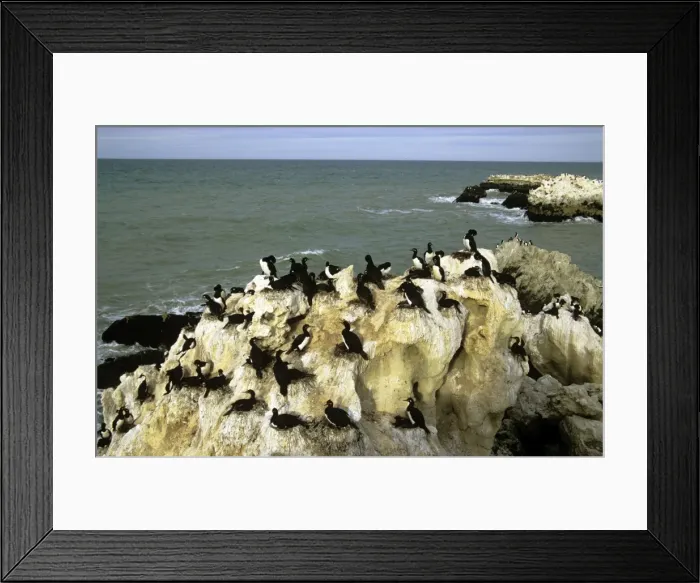 Framed Print : Picture No. 10857736 Framed Print : Picture No. 10857736