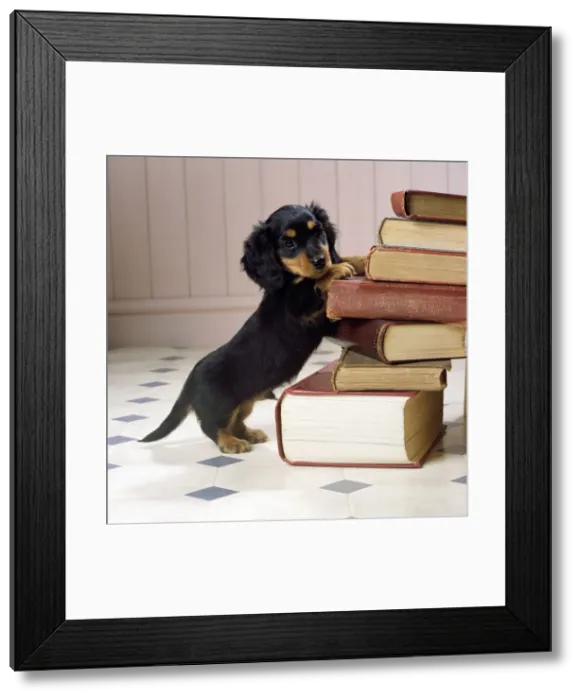 Framed Print : Picture No. 10857749 Framed Print : Picture No. 10857749